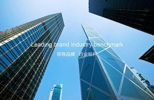 玻璃狗 自動門玻璃鎖軟件開發(fā)的理想之選